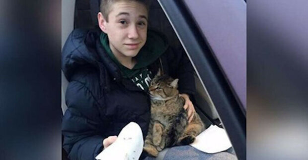 Z dodávky jedoucí po mostě byla vyhozena kočka, na pomoc zvířeti okamžitě přispěchal teenager