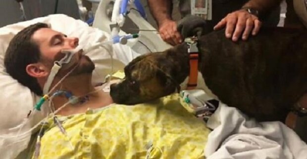 Lékaři otevřeli dveře a pustili psa k umírajícímu muži. To, co se poté stane, doslova láme srdce