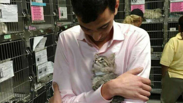 Kočička z útulku si sama vybrala svého majitele a skočila mu do náruče