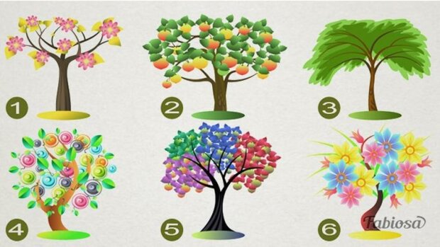 Vyberte si jeden ze 6 stromů. Váš výběr o vás prozradí dost