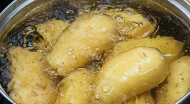 Co dělat s vodou, ve které se vařily brambory: rada od mé babičky
