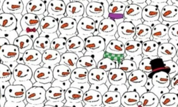 Nikdo z mých známých nenašel řešení. Dokážete najít pandu uprostřed hromady sněhuláků?