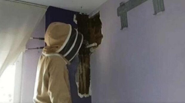 Manželé snášeli hluk za zdí dva roky, ale jednoho dne už to nevydrželi a rozhodli se ji zbourat