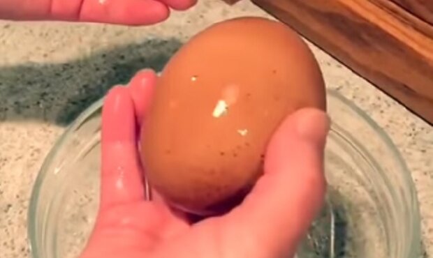 Farmář našel obrovské vejce od slepice. Když jej rozbil, nalezl překvapení