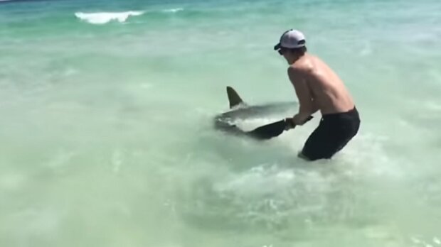 Když viděl tohoto žraloka v pasti, okamžitě jej vytáhl z vody