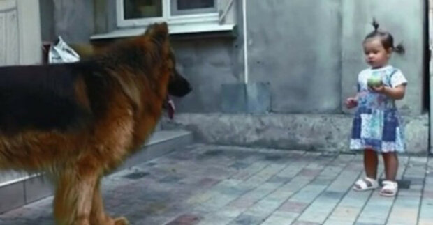 Velkého psa, který žil v bazaru, nikdo neměl rád, ale dcera se nad ním slitovala. Zasloužil si dobré zacházení