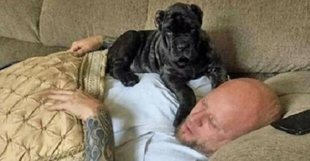 Muž odchoval největší štěně na světě, které se zapsalo do knihy rekordů